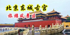 鸡巴插骚货视频中国北京-东城古宫旅游风景区